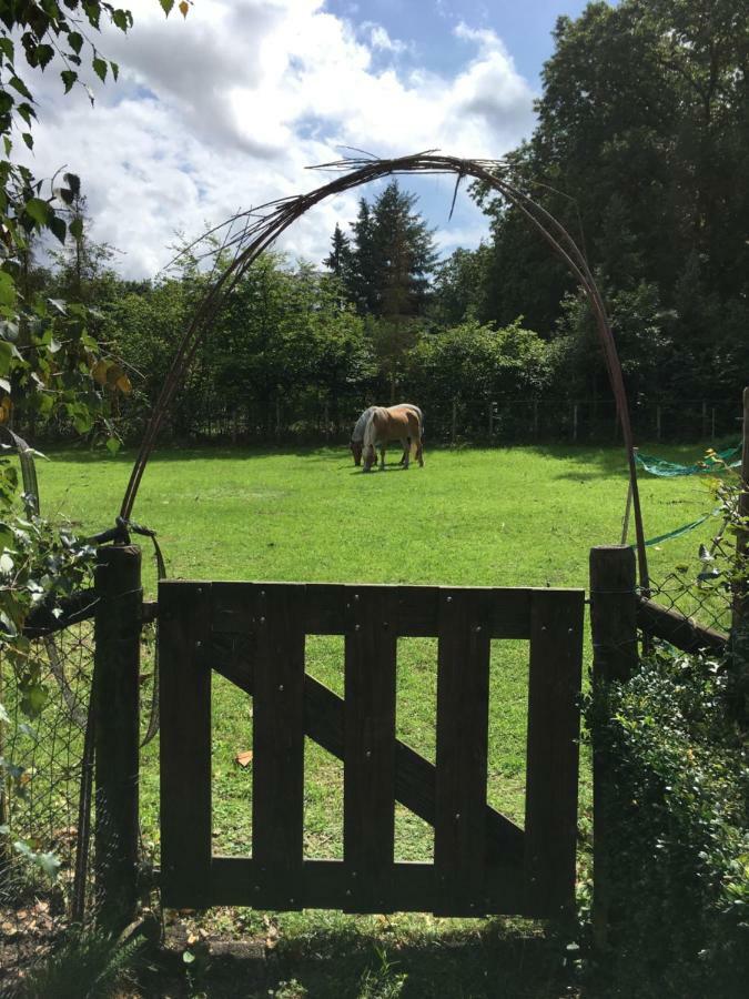 Op Hoog Baarlo Lägenhet Hoenderloo Exteriör bild